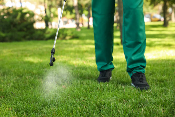 Best Wasp Removal Services  in Grimes, IA