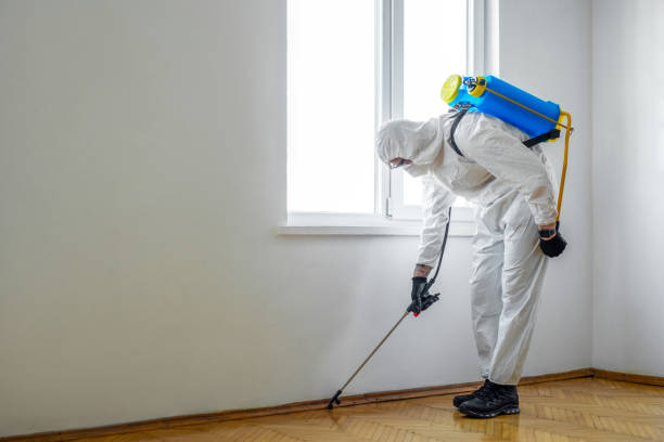 Best Best Pest Control Companies  in Grimes, IA