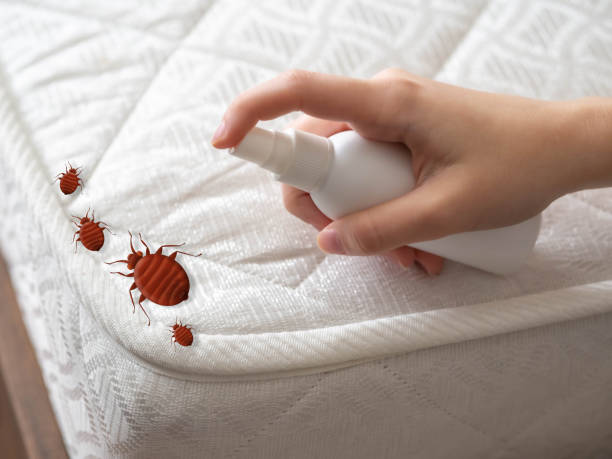 Best Commercial Pest Control Services  in Grimes, IA