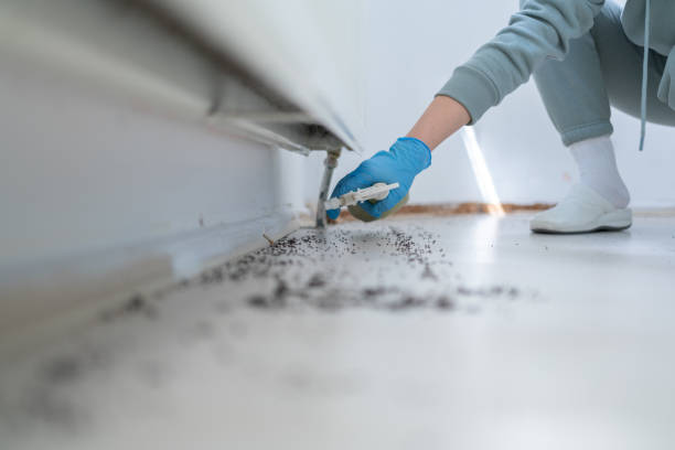 Best Flea Control Services  in Grimes, IA